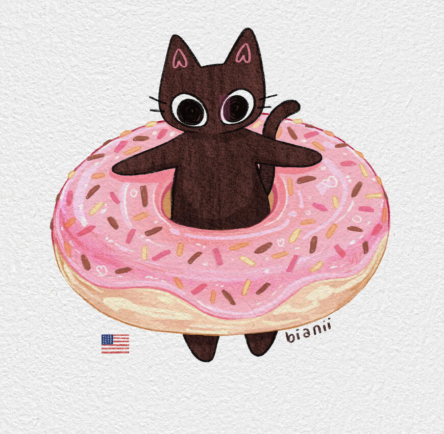 07- united states (donut)
